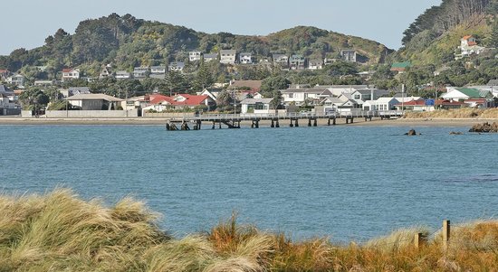 seatoun pic waterfront
